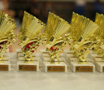 «Нижегородский волан»: результаты